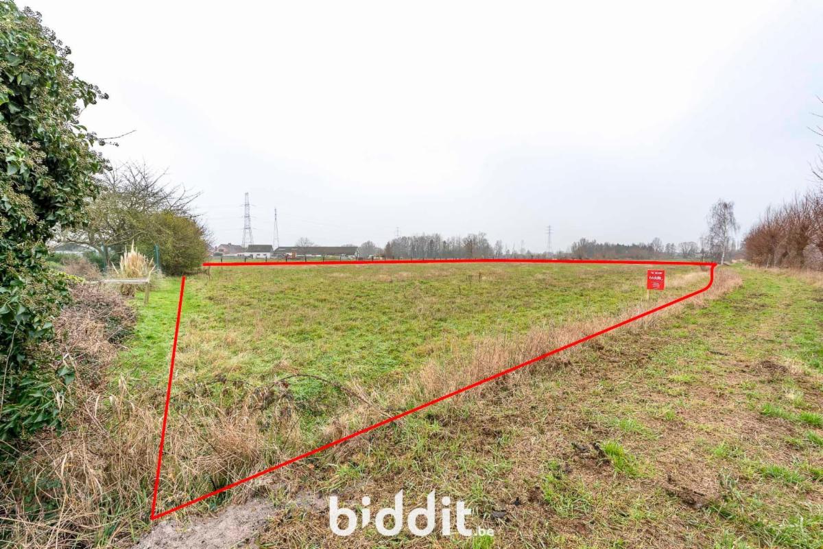 Image de présentation du bien n° 292751