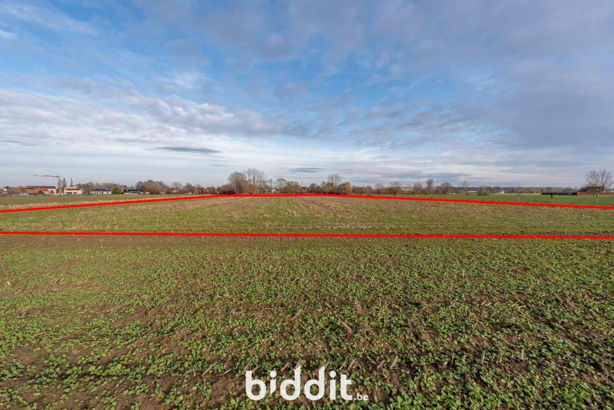 Image de présentation du bien n° 292754