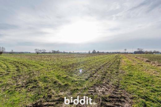 Troisième photo alternative du bien