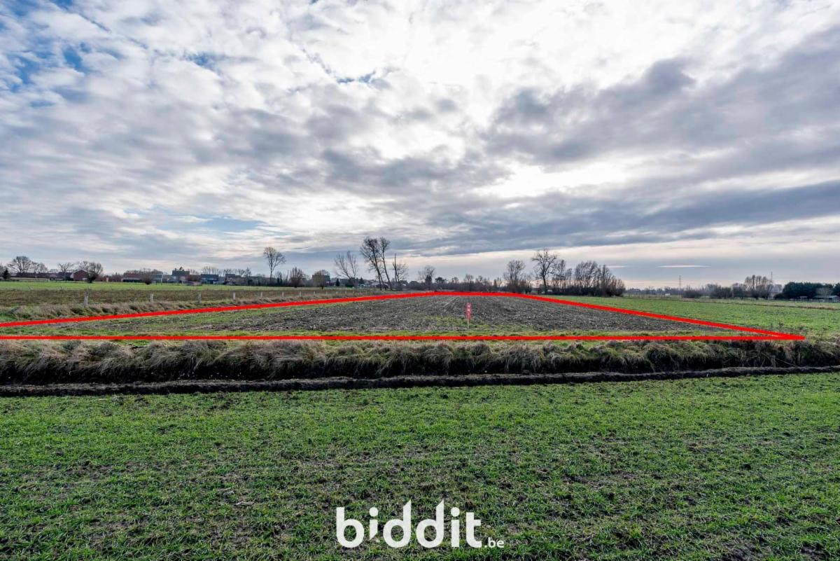 Image de présentation du bien n° 292763