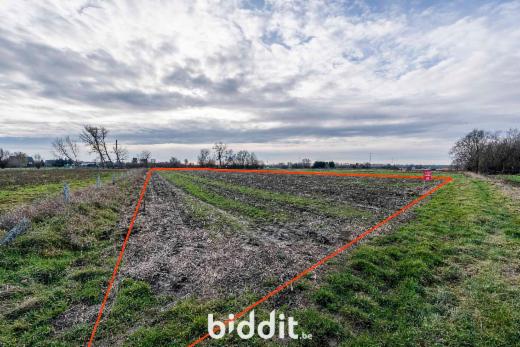 Première photo alternative du bien