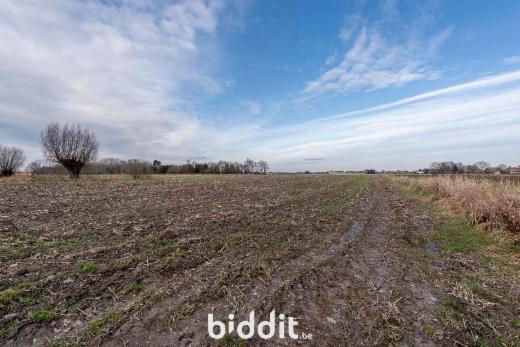 Troisième photo alternative du bien