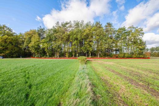 Première photo alternative du bien