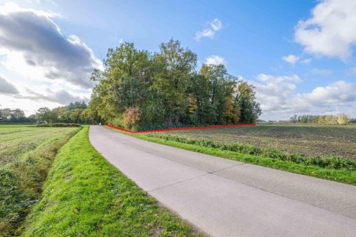 Seconde photo alternative du bien