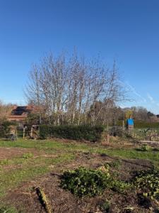 Troisième photo alternative du bien