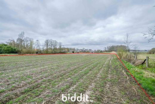 Troisième photo alternative du bien