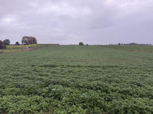 Image de présentation du bien n° 288919