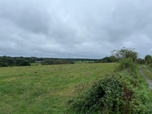 Image de présentation du bien n° 292976