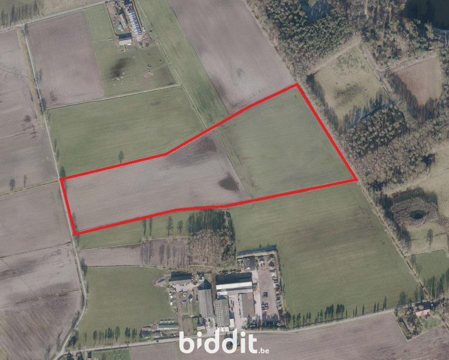 Image de présentation du bien n° 294806