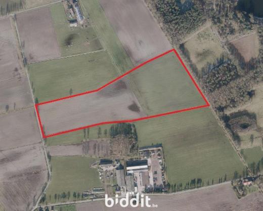 Image de présentation du bien n° 294806