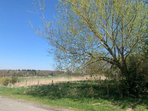 Seconde photo alternative du bien