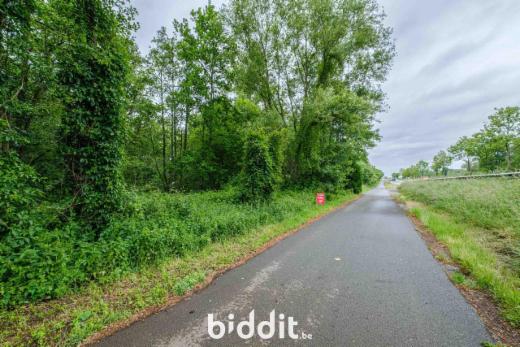 Première photo alternative du bien