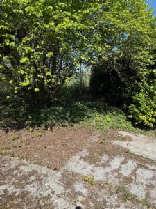 Troisième photo alternative du bien