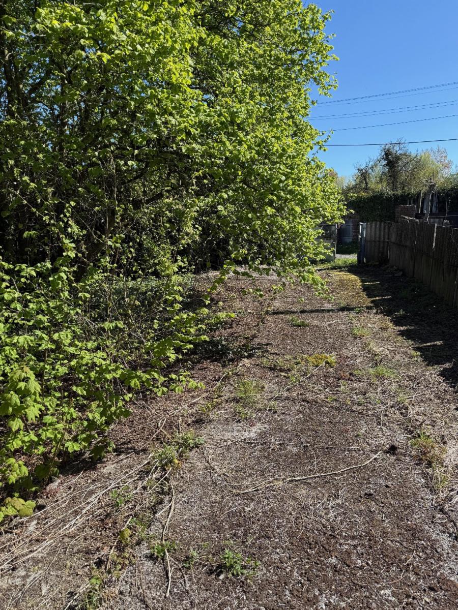 Image de présentation du bien n° 295592