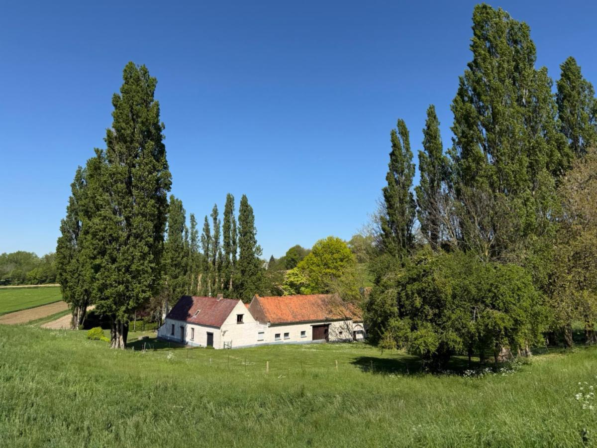 Image de présentation du bien n° 296371