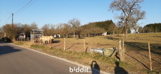 Image de présentation du bien n° 290629