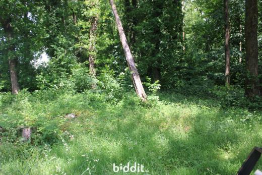 Image de présentation du bien n° 284141