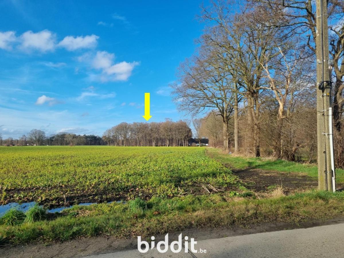 Image de présentation du bien n° 293861