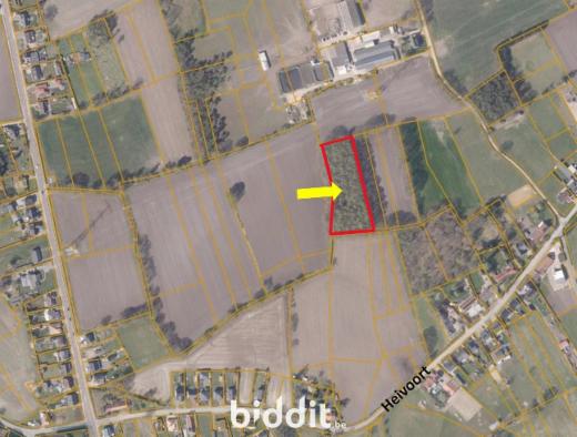 Seconde photo alternative du bien