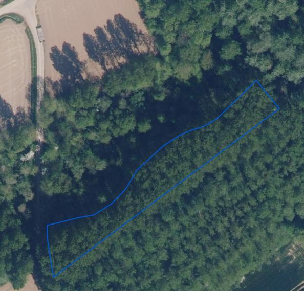 Image de présentation du bien n° 293421