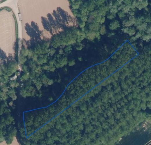 Image de présentation du bien n° 293421