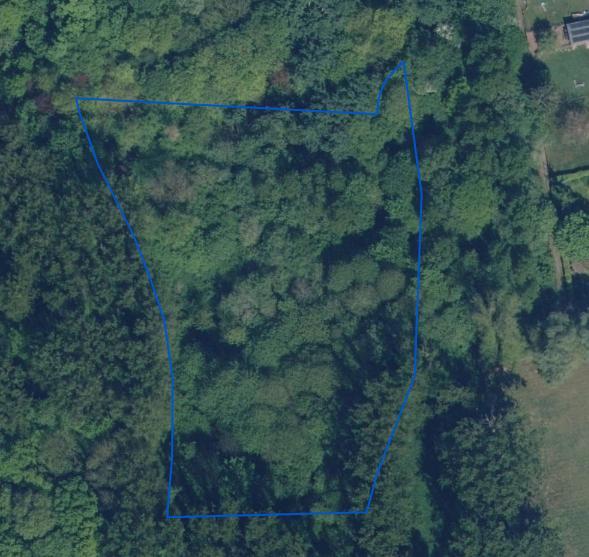 Image de présentation du bien n° 293424