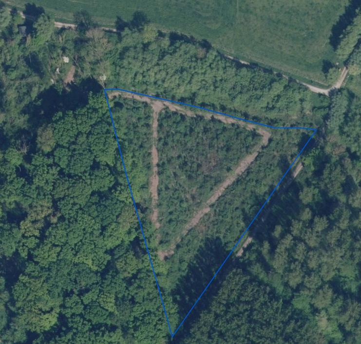 Image de présentation du bien n° 293426