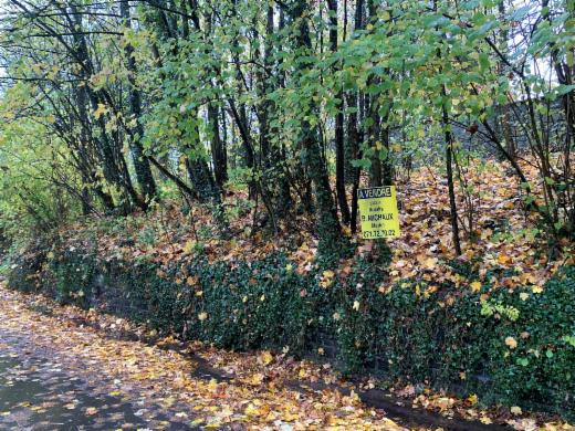 Première photo alternative du bien