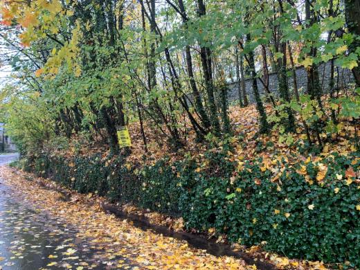 Seconde photo alternative du bien