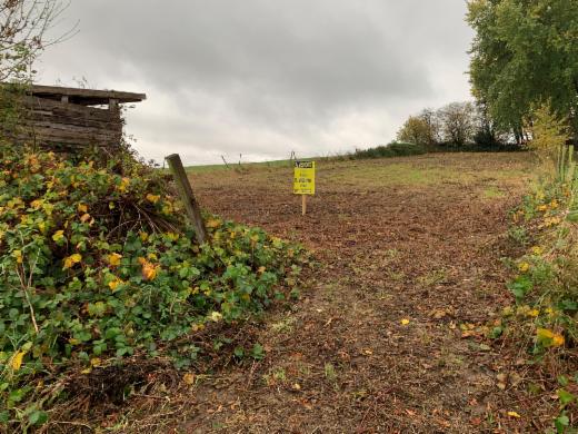 Image de présentation du bien n° 289696