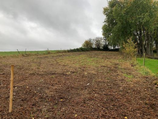 Première photo alternative du bien