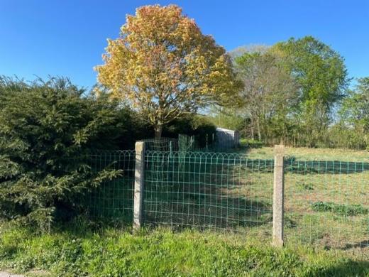 Troisième photo alternative du bien