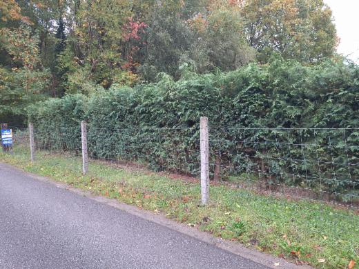 Image de présentation du bien n° 303526