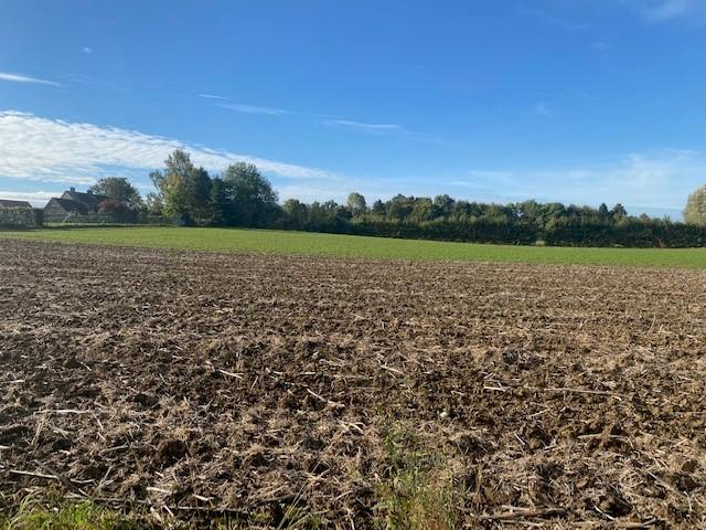 Image de présentation du bien n° 301710