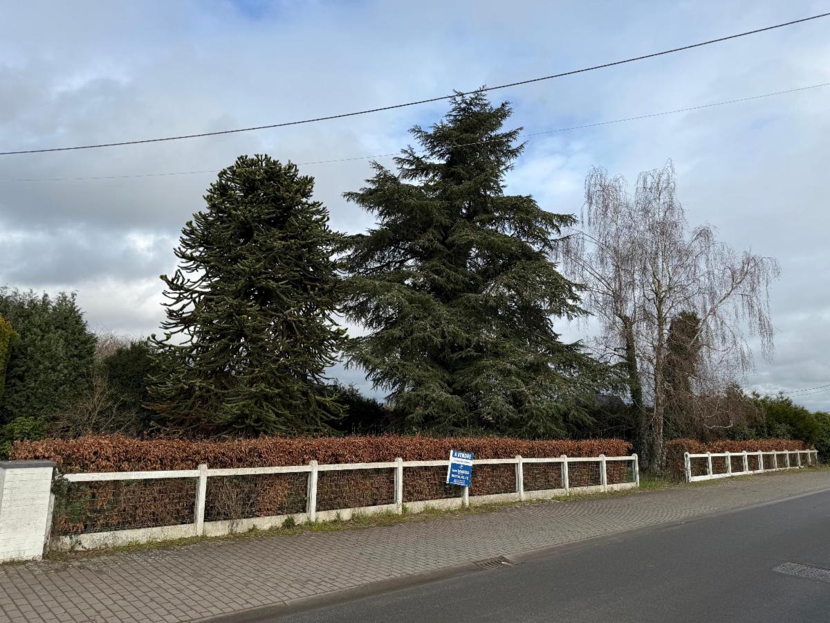 Image de présentation du bien n° 292513