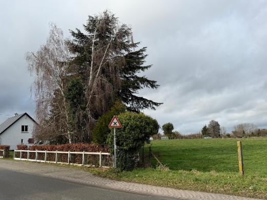 Première photo alternative du bien