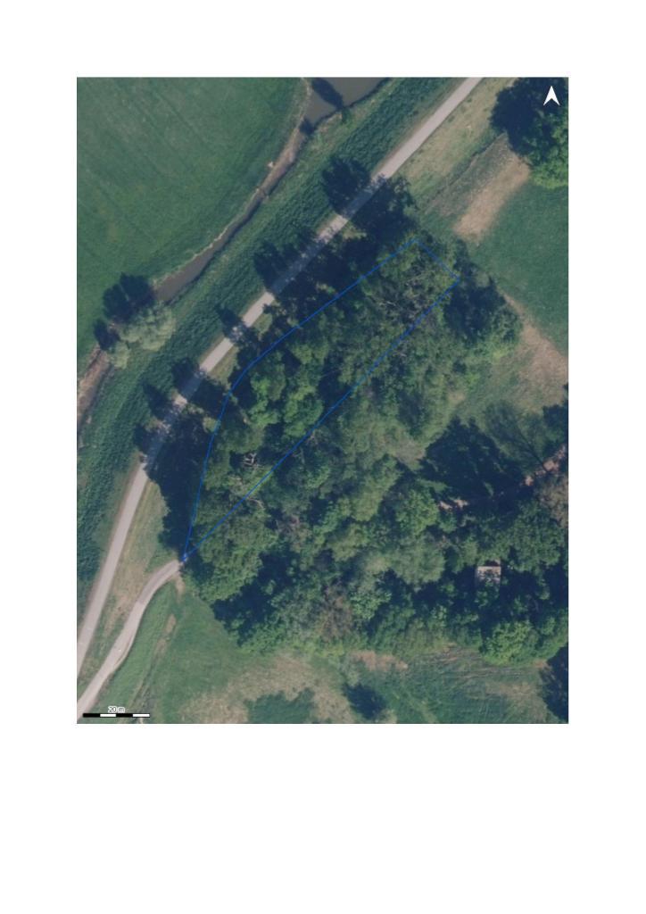 Image de présentation du bien n° 302450