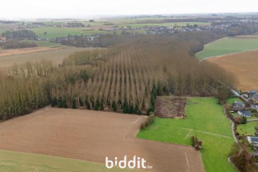 Troisième photo alternative du bien