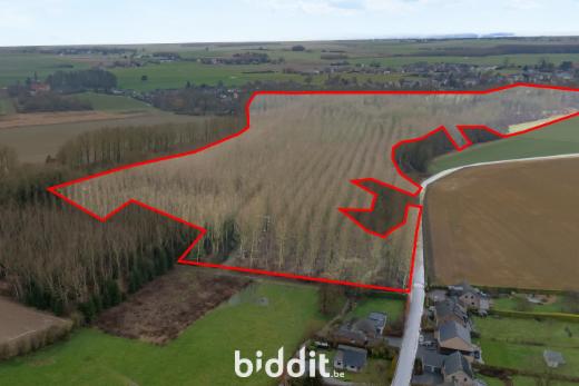 Image de présentation du bien n° 293431