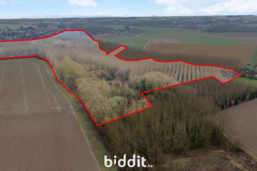 Première photo alternative du bien