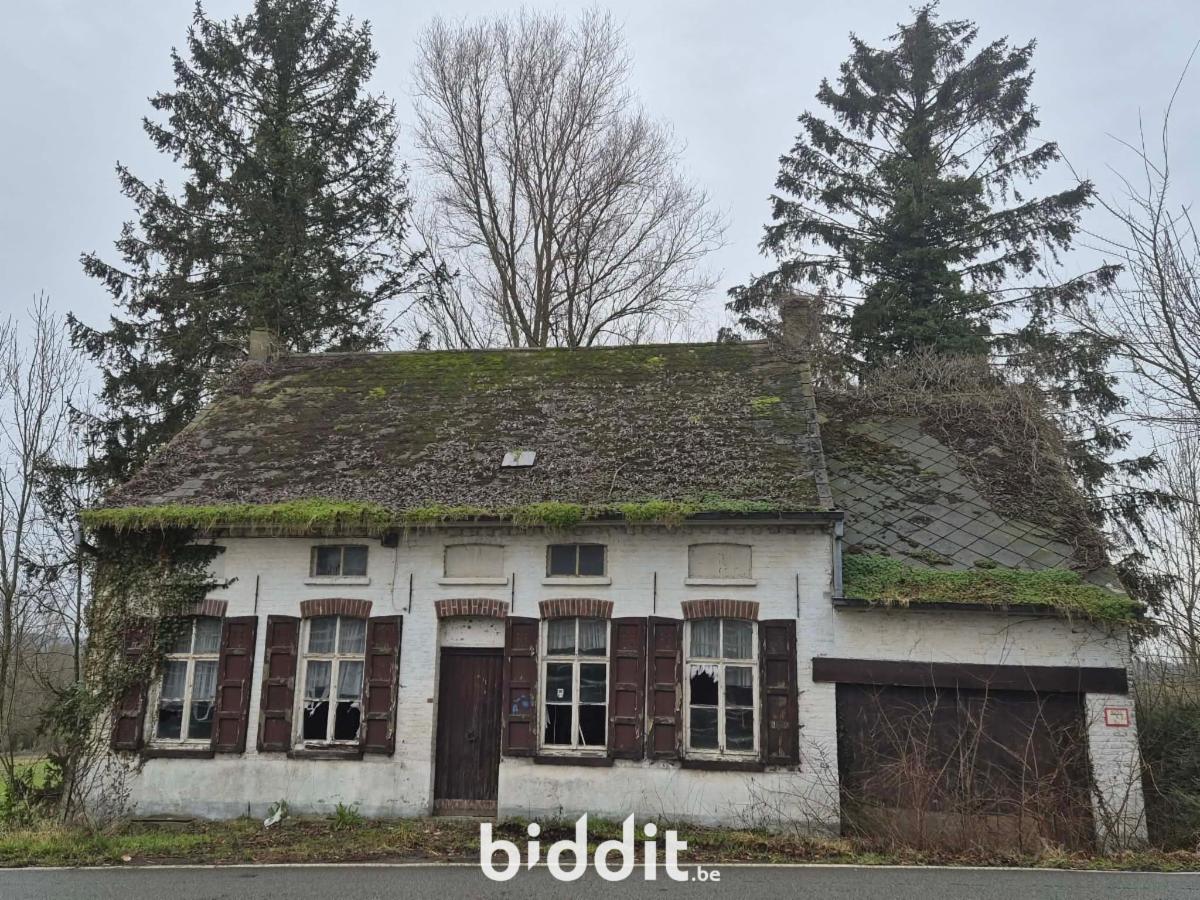 Image de présentation du bien n° 292323