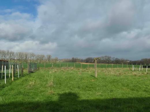 Seconde photo alternative du bien