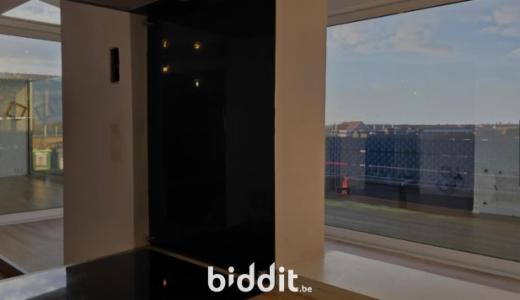 Première photo alternative du bien