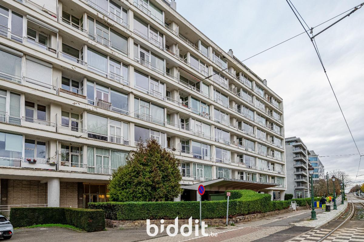 Image de présentation du bien n° 290370