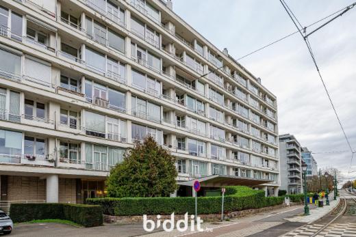 Image de présentation du bien n° 290370