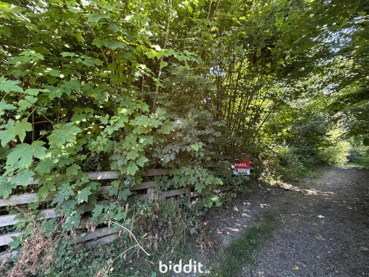 Image de présentation du bien n° 298875