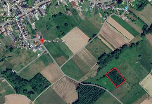 Image de présentation du bien n° 294065