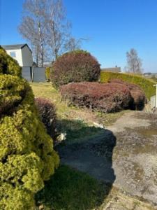 Troisième photo alternative du bien