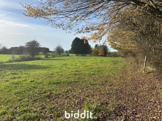 Image de présentation du bien n° 295466