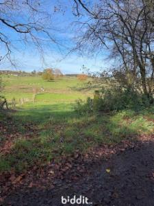 Image de présentation du bien n° 295481